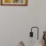 Anasa *