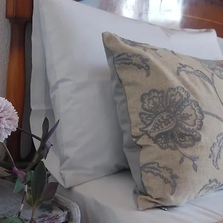 Anasa * Ставрос